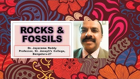 Rocks and Fossils by Dr. Jayarama Reddy