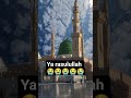 😭😭😭😭ya rasulullah #naat #love #viral #duet #sohrts