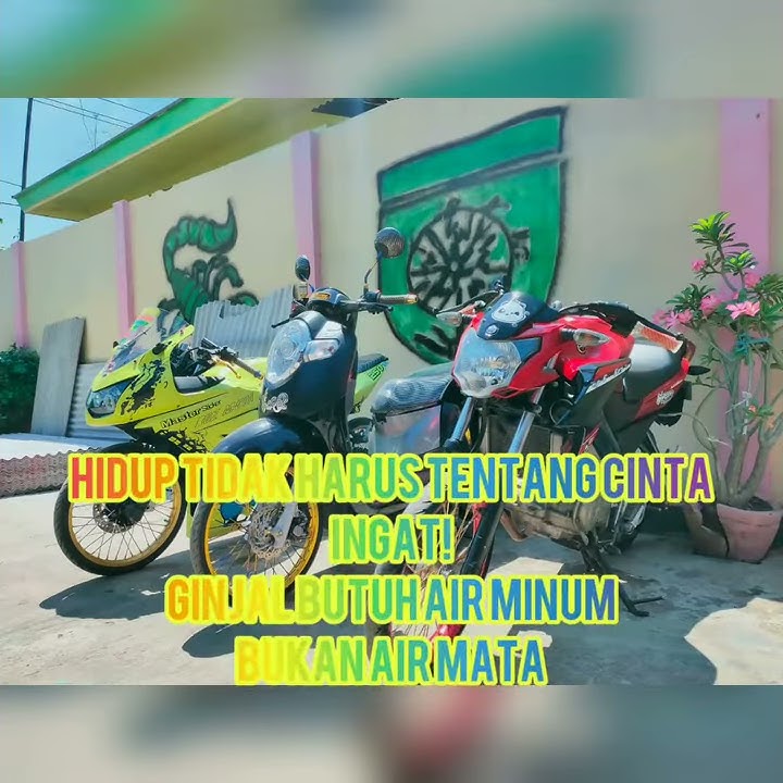 Story Wa_Emang Kamu Dasar Lonte.🤑