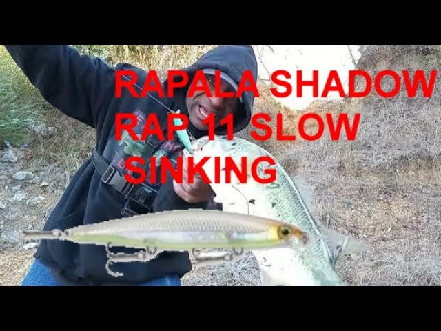 RAPALA SHADOW RAP 11 SLOW SINKING 