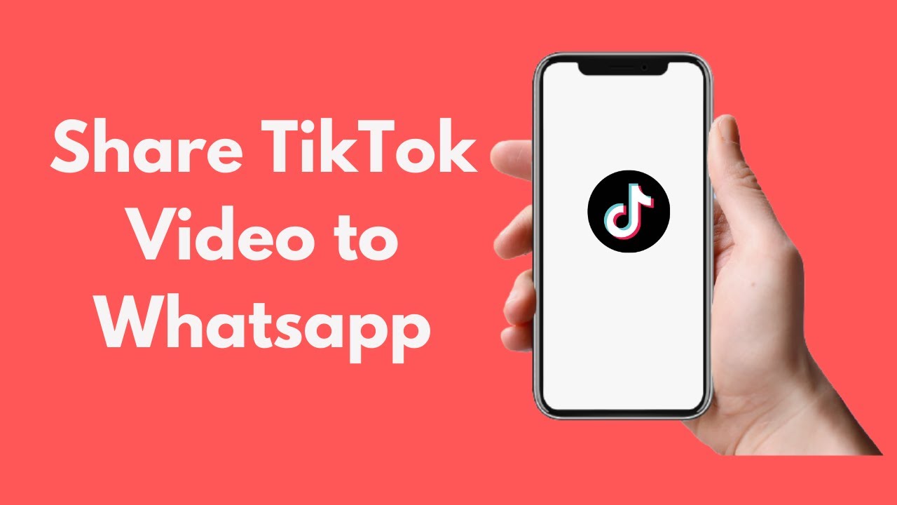 How To Share Tiktok Video To Whatsapp ( Android \U0026 Iphone )