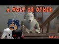 Kurt Adam Arkadaşım Oldu !!! / A Wolf Or Other / Roblox Türkçe / Pratik Oyun