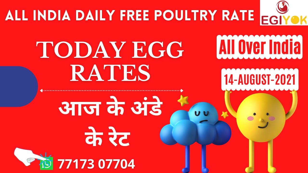Today Egg Rate Egg Rate Today BARWALA EGG RATE Ande ka Rate Poultry