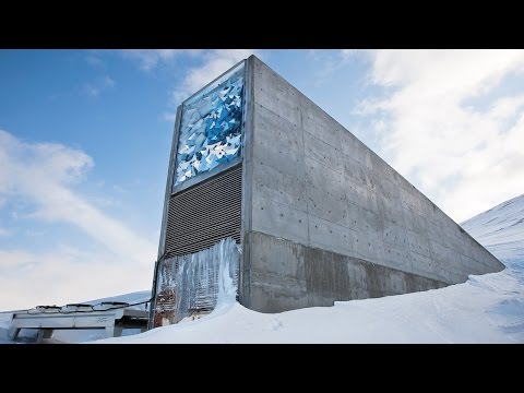 Videó: A tökéletes esküvő megtervezése