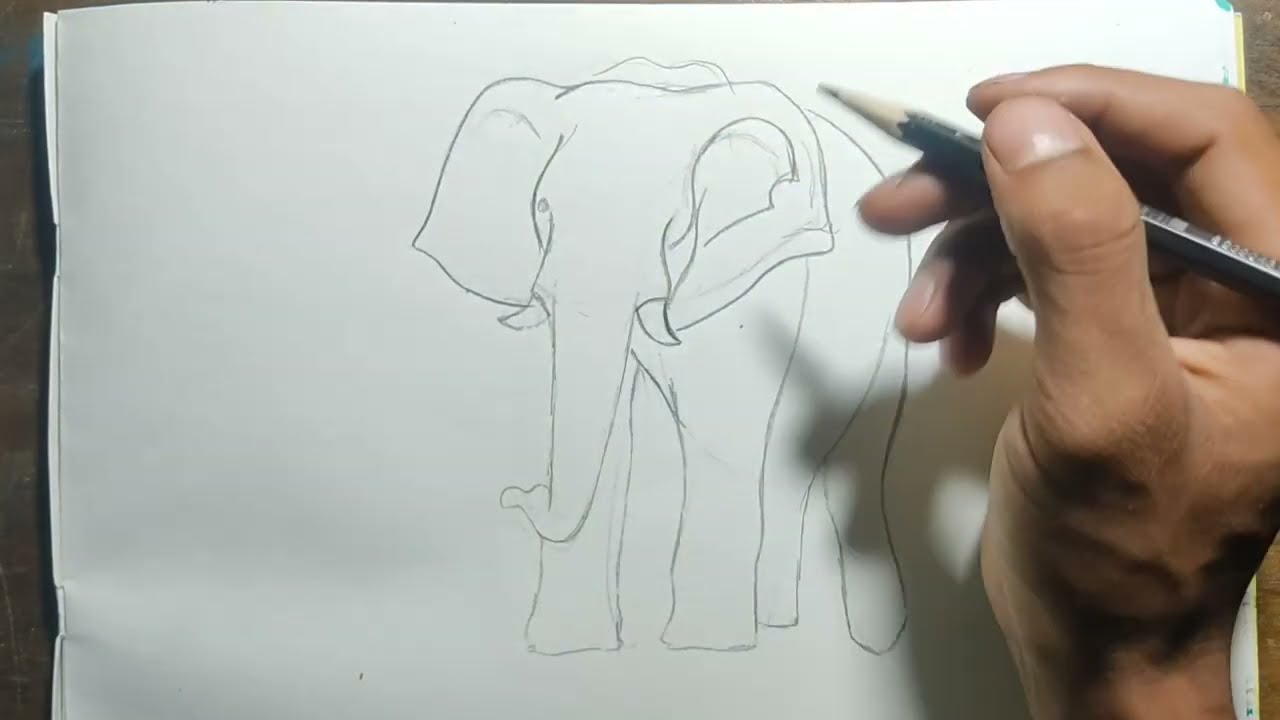 Easy Elephant drawing Tips for Beginners // How to draw elephant easy step by step // 