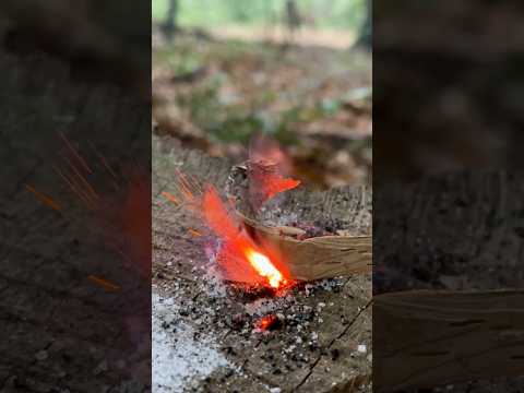 Survival lifehaks: Fire Starting in the Wild. #survival #outdoors #camping #skills #bushcraft