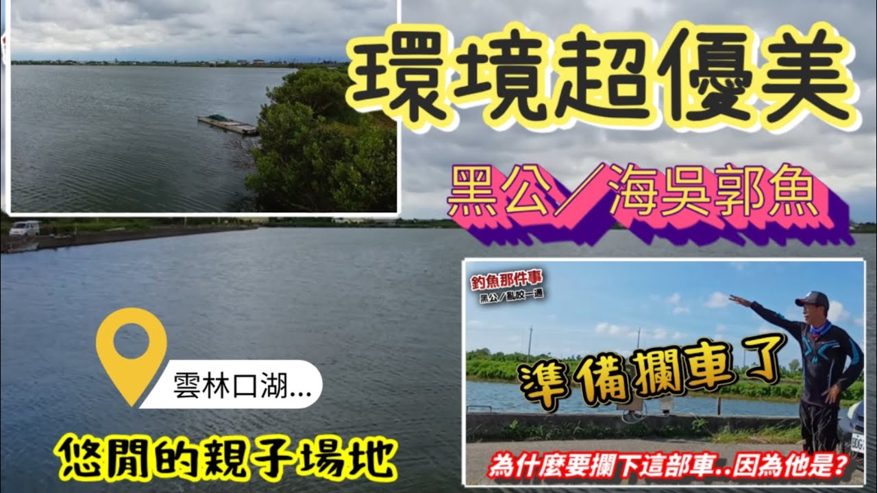 黑公肥又大，盡情的揮竿吧，車子停旁邊.舒適又安全，親子釣遊的好所在垃圾不落地..  #黑公  #海吳郭魚 #釣魚 #親子釣魚 #口湖 