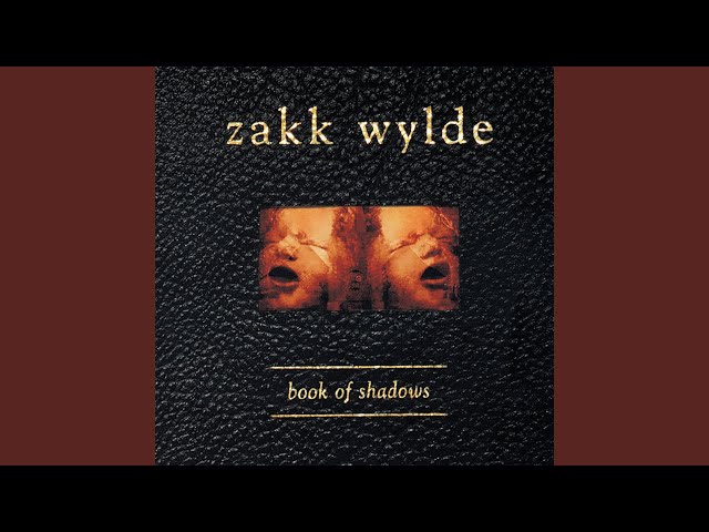 Zakk Wylde - 1,000,000 Miles Away