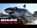 Katotohanan Tungkol sa MEGALODON | Historya