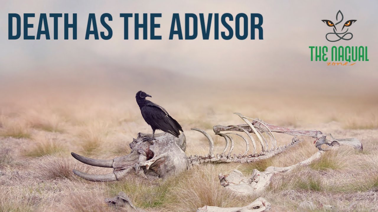 Death As The Advisor - The Nagual Zone| Carlos Castaneda| Don Juan Matus