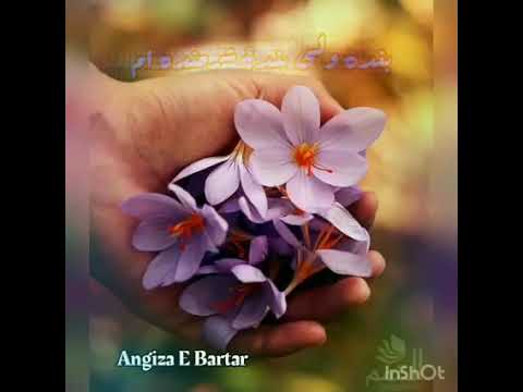 مناجات بسیار زیبا توسط شهید الحاج مولوی حیات الدین صاحبی رح