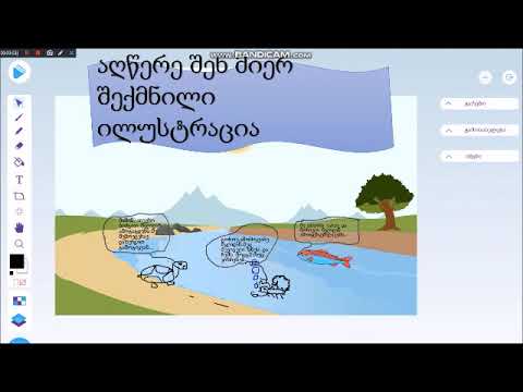 კუ და მორიელი - ნინო მღებრიშვილი