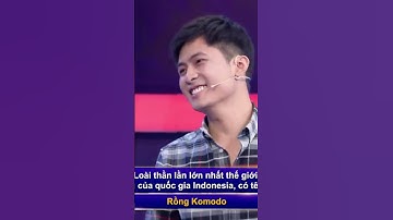 Trí Lực Sánh Đôi | Gin Tuấn Kiệt siêu thông thái #tlsd