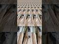 #doordesign #cncwoodcarving #woodworking #furniture #teakdoor