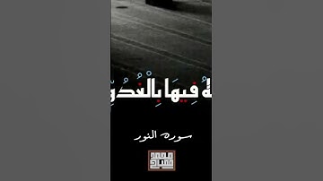 قراءه ما تيسر من سوره النور بصوت الشيخ محمد المصباحي