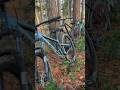 #mtb #silverback #edit