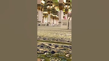 تلاوة الشيخ عبدالمحسن القاسم