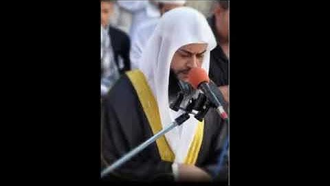 سورة المائدة الشيخ حاتم فريد الواعر