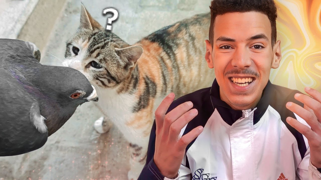 مشيت السوق باش نبيع الحمام و في التالي....😱💔