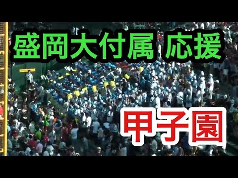 盛岡大付属　応援団　3回表　2017ブラバン　チアリーダー　甲子園