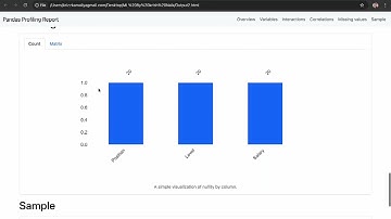 🎯 Automate EDA in Python with Pandas Profiling, Sweetviz & D-Tale!