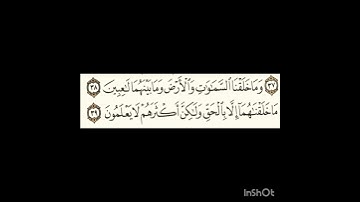 سورة الدخان ٣٨الى٣٩ #سورةالفاتحة #اكسبلور #الرحمن #سورةالكوثر #المصحف #لايك #سورةالاخلاص #الظروف
