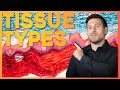 Intro to Histology: The Four Tissue Types | Corporis