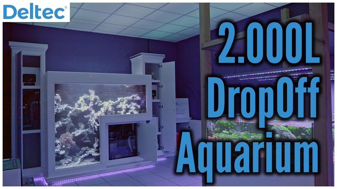 Dieses beeindruckende DropOff Meerwasser Aquarium baut Jonny Boettcher! | Deltec