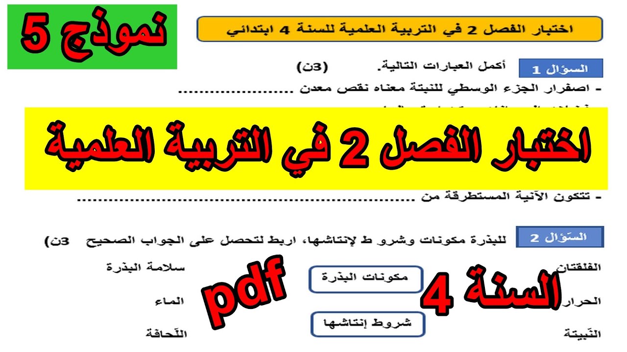 اختبار الفصل 2 في التربية العلمية للسنة 4 ابتدائي