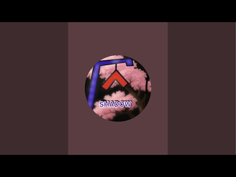 بدأت قناة "Shadow" بثًا مباشرًا