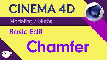 복쌤의 시포디 스터디 ( Modeling / Nurbs / Chamfer )
