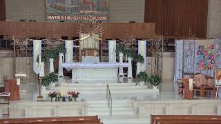 Catholic Mass from St. Dominic New Orleans, LA, USA