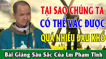 TẠI SAO CHÚNG TA CÓ THỂ VÁC ĐƯỢC QUÁ NHIỀU ĐAU KHỔ - Bài Giảng Để Đời Của Lm Phạm Tĩnh