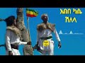 #Abebe Kase    አበበ ካሴ ያበደ ሽለላ ፉከራ ቀረርቶ Mp3 Song