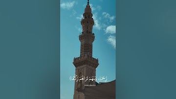 ❤️من أواخر سورة الفتح💚❤️«#عمر_بن محمد إبراهيم💚