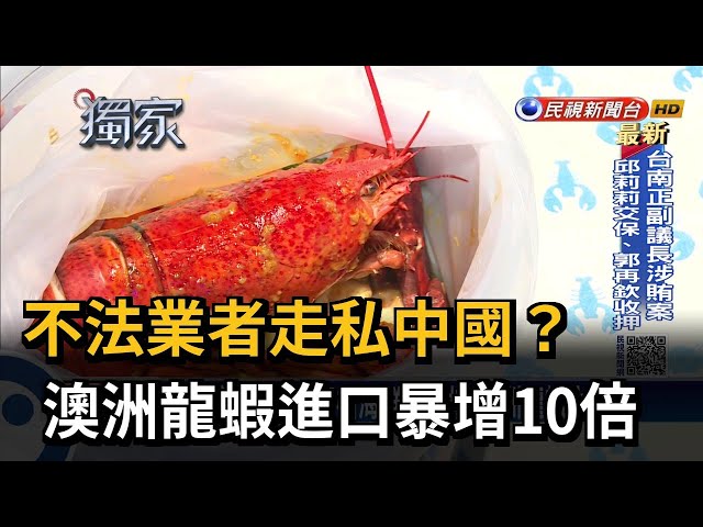 年節空運塞車 澳洲龍蝦缺貨兩週 漲1~2成－民視台語新聞