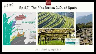 Ep 621: The Rías Baixas D.O. of Spain - The Albariño Capital of the World
