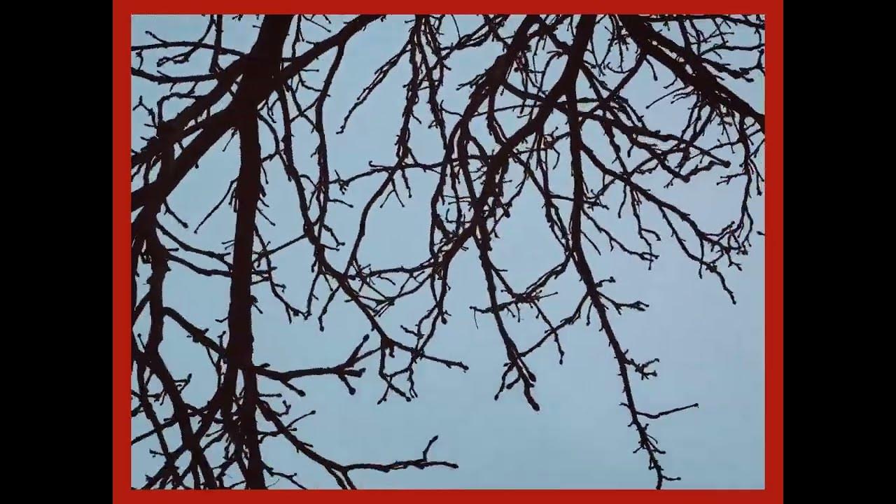 i-didn-t-understand-youtube