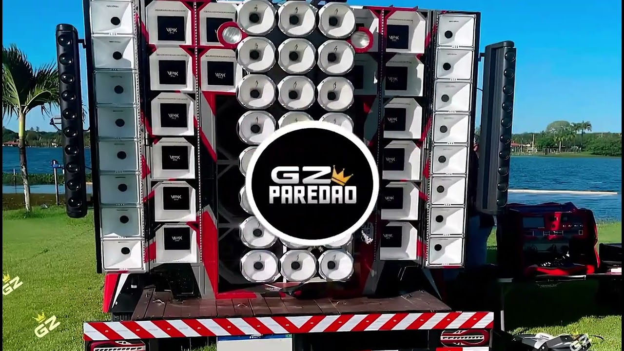 CD FORROZINHO PRA PAREDÃO 2025 NOVO ANAILSON PRODUÇÕES  E DUDU BATIDÃO ALTA QUALIDADE #piseiro