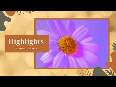 Highlights from Live