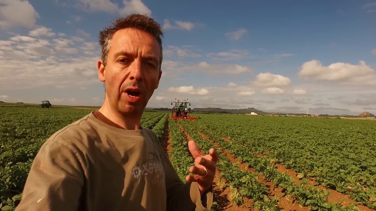 Le buttage des Pommes de terre