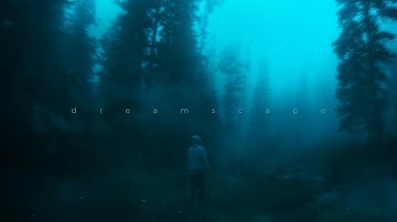 insensible, jay karin - after all im not alone