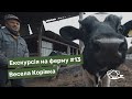 Екскурсія на ферму. #13 «Весела Корівка»