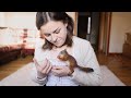 Baby squirrel loves tickles and demands sleeping in a hoodie episode 2