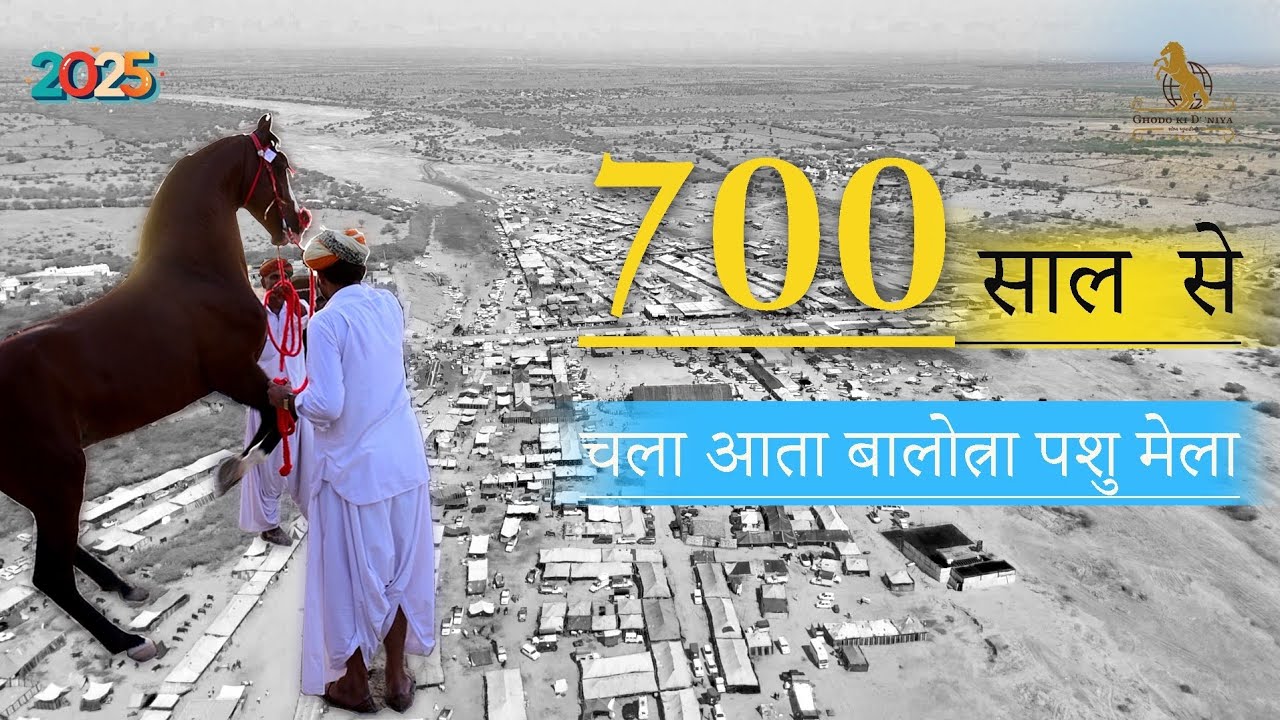 700 साल से चला आता बालोत्रा पशु मेला / Balotra Pashu Mela 