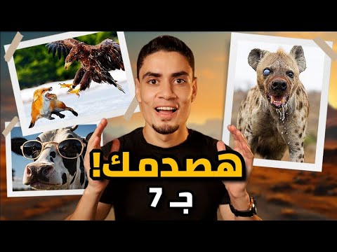صدمات سريعة ومثيرة هتخلي مخك ينور جزء جديد 7