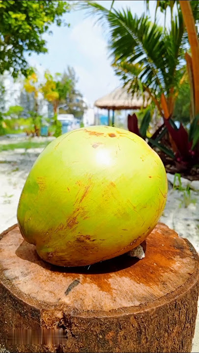 amazing skill peeling old coconut #shorts