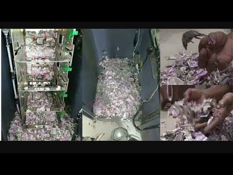 #Lockdown: Rat Break Into ATM Machine, Eat Up Money Worth N17 Million