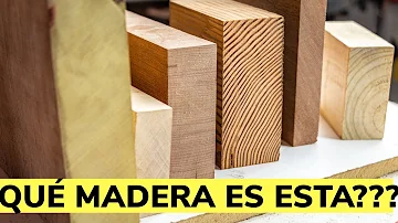 ¿Cuáles son las maderas nobles?