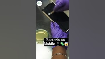 Mobile 📱 Bacteria 🦠🧫🧬🔬#research #viral #2024 #science #shorts #reels #internship
